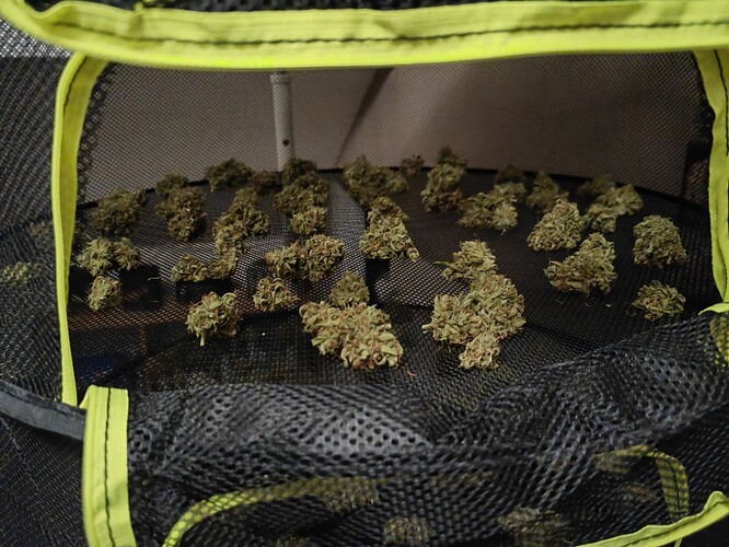 Growreport Bild 1