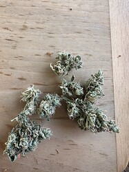 Growreport Bild 17