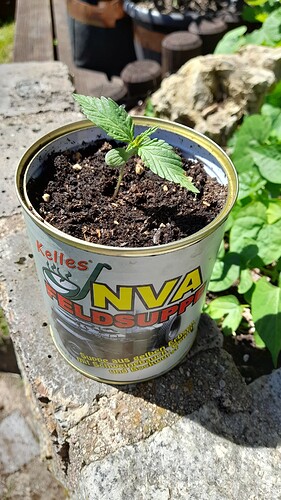 Growreport Bild 17