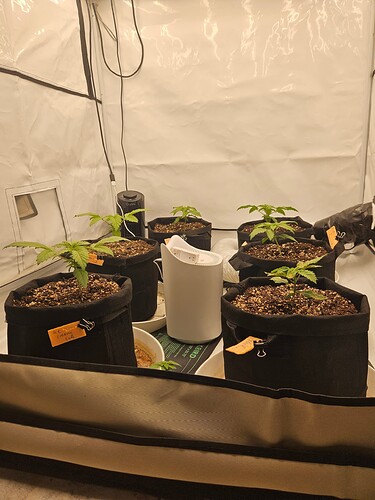 Growreport Bild 19