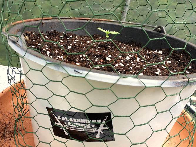 Grow26_0714_02