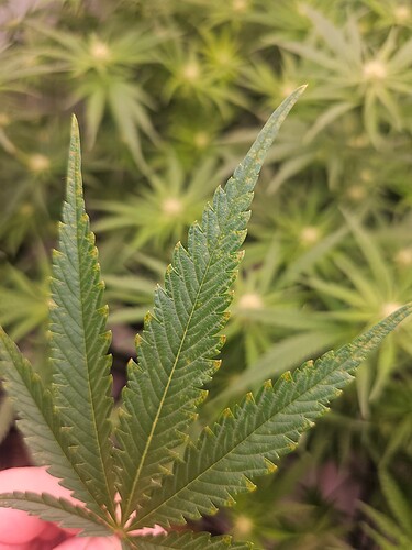 Growreport Bild 21