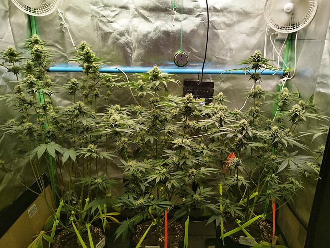 Growreport Bild 4