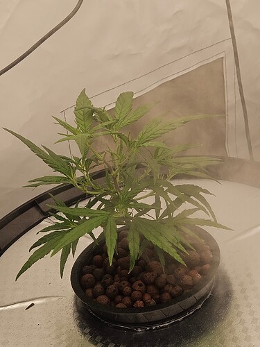 Growreport Bild 42
