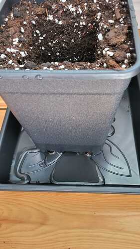 Growreport Bild 18