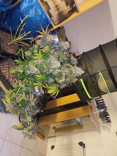 Growreport Bild 123