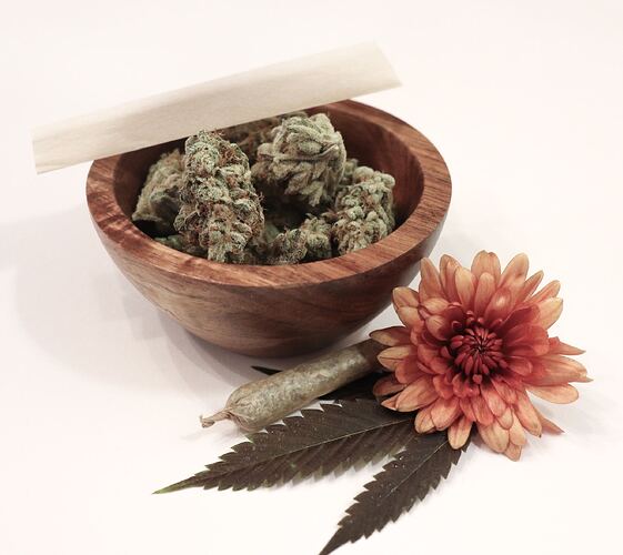 Terpenes occur in cannabis and flower petals