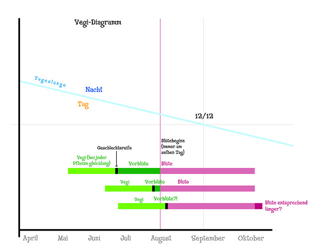 Growreport Bild 19
