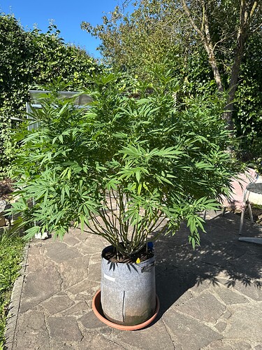 Growreport Bild 37
