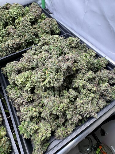 Growreport Bild 24