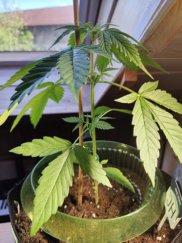 Growreport Bild 13