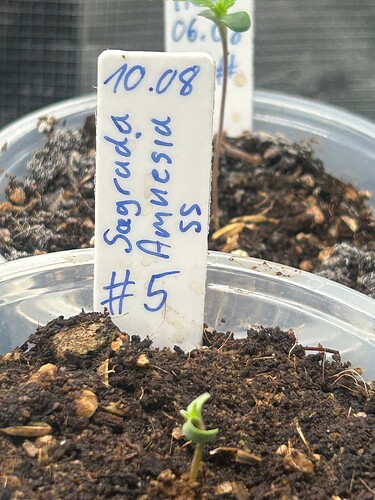Growreport Bild 4