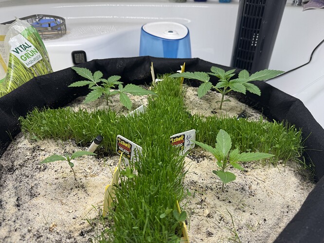 Growreport Bild 15