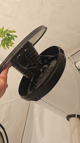 Growreport Bild 21