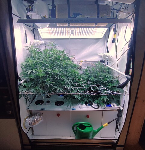 Growreport Bild 17