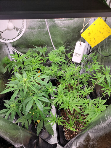 Growreport Bild 5