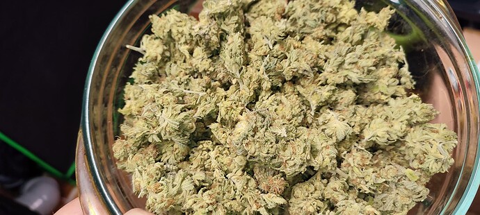 Growreport Bild 59