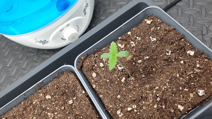 Growreport Bild 3