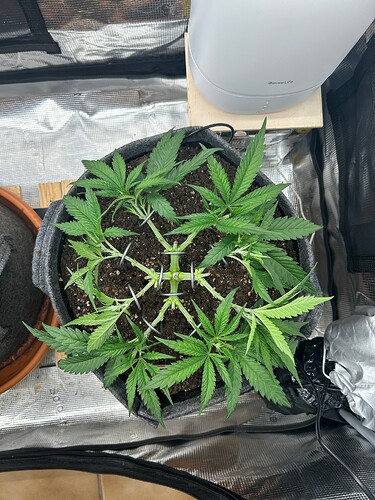 Growreport Bild 10
