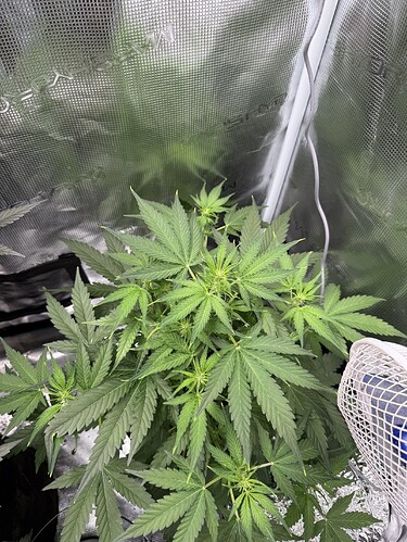 Growreport Bild 17