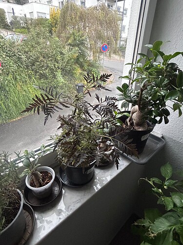 Growreport Bild 17