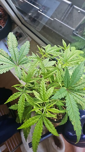 Growreport Bild 5