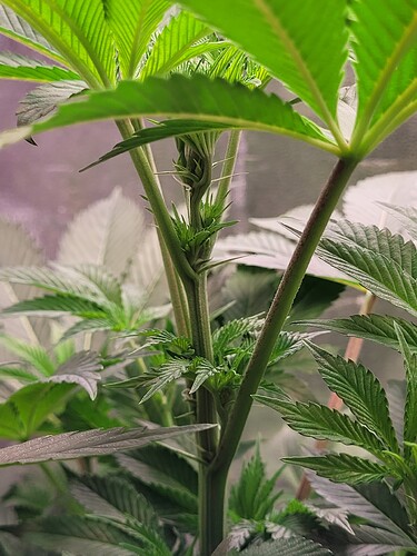 Growreport Bild 19