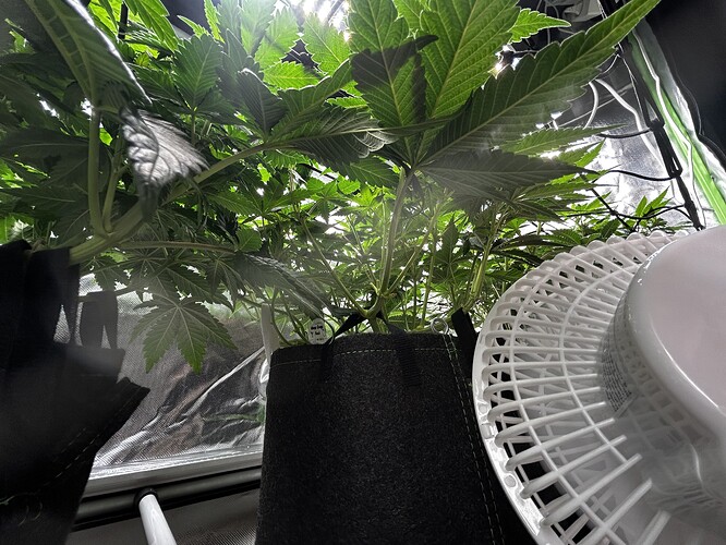 Growreport Bild 15