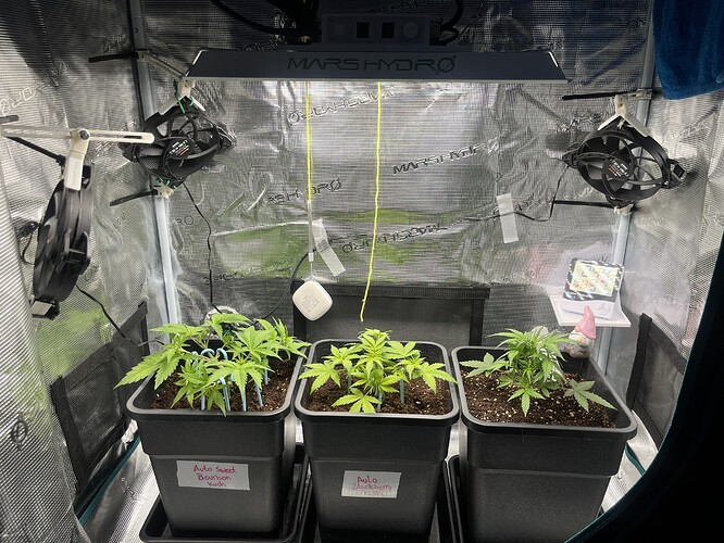 Growreport Bild 2