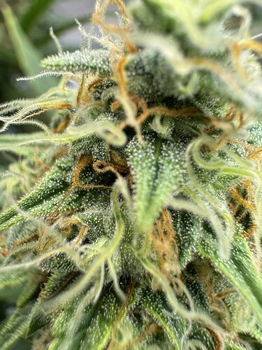 Growreport Bild 23