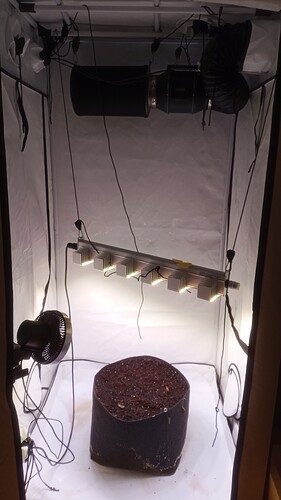 IMG_20250330_225010_237