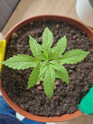 WhatsApp Image 2024-05-24 at 16.08.13 (2)