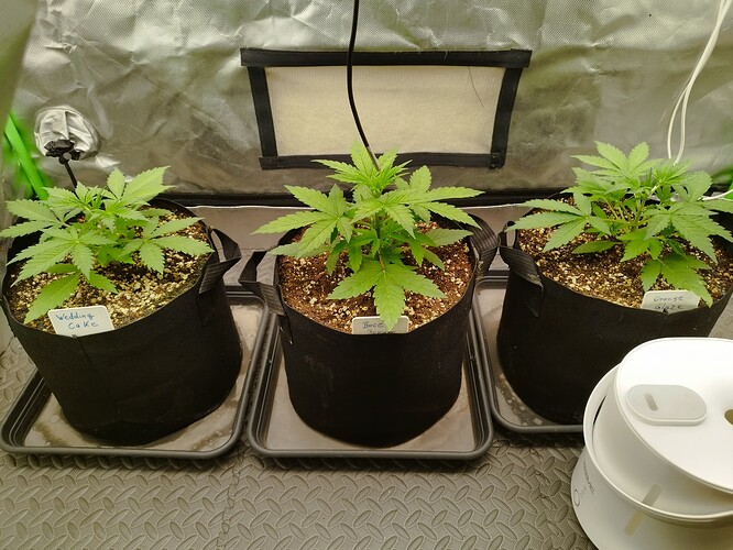 Growreport Bild 11