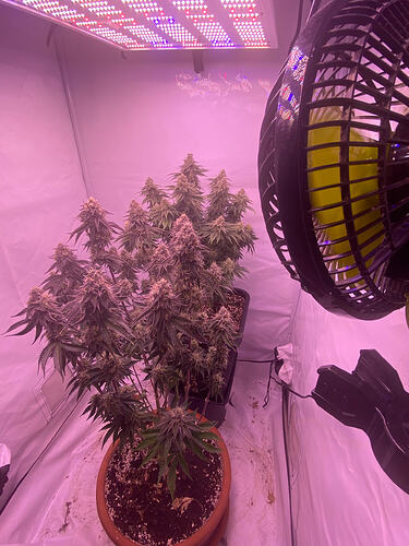 Growreport Bild 14