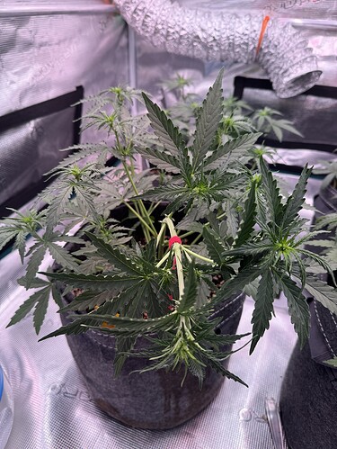 Growreport Bild 12