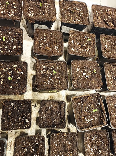 Growreport Bild 15