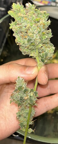 Growreport Bild 17