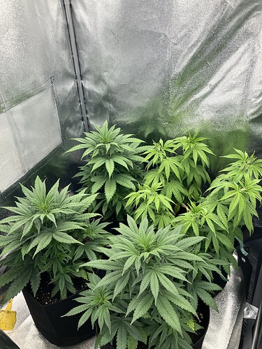 Growreport Bild 7