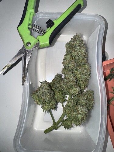 Growreport Bild 4