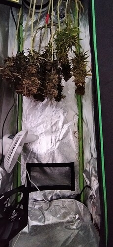 Growreport Bild 20
