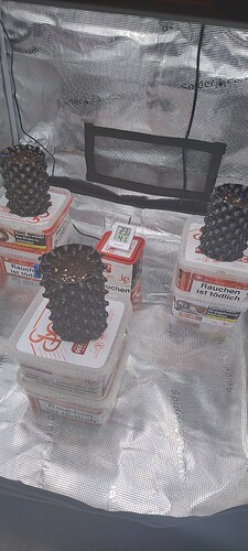 IMG_20241220_210313741_HDR