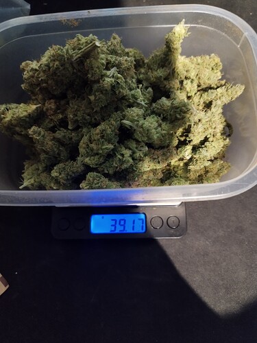 Growreport Bild 7