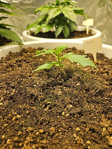 Growreport Bild 18