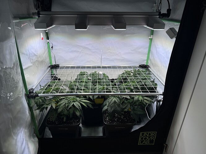 Growreport Bild 9