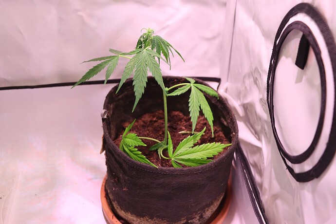 Growreport Bild 12