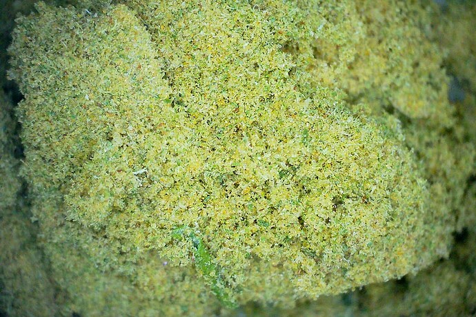 Sift3_kief_1