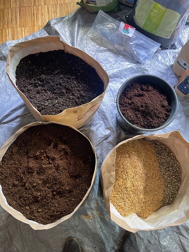 Growreport Bild 4