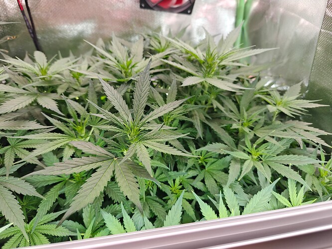 Growreport Bild 8