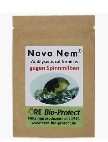 Growreport Bild 30