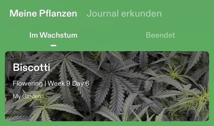 Growreport Bild 1